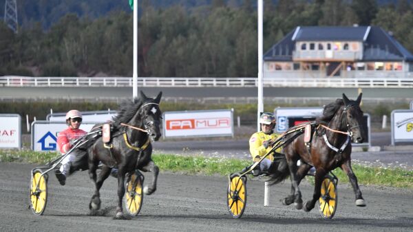 Opprør, derbyhest selges og 13 over 100.000