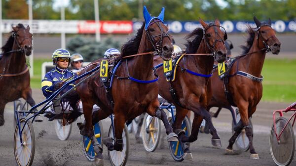 Dagens tips er på plass