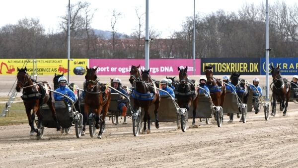 Tok med 37 toåringer på banen