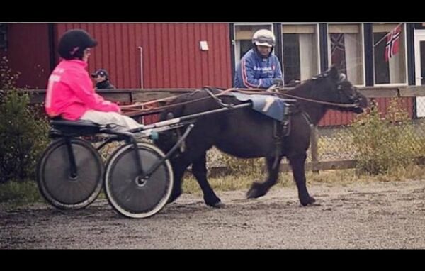 Jomar ble barnas helt