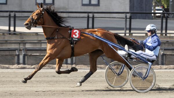 Hvor mange vinner Hamre i kveld?