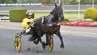 Ny trener etter skade