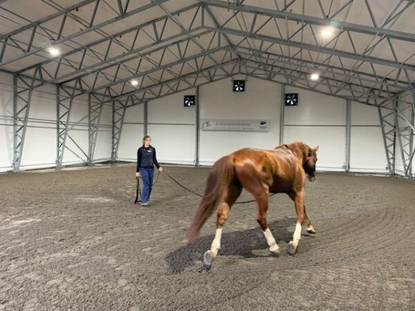 Ridehallen er oppe