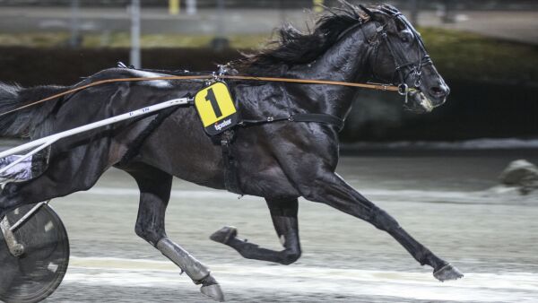 Endret for Ecurie D, under 20 mill og vil ha storløpet