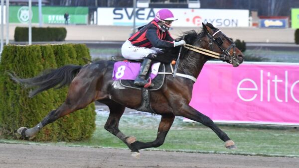 Anmeldt til DNT, fransk debut og topphoppe reiste