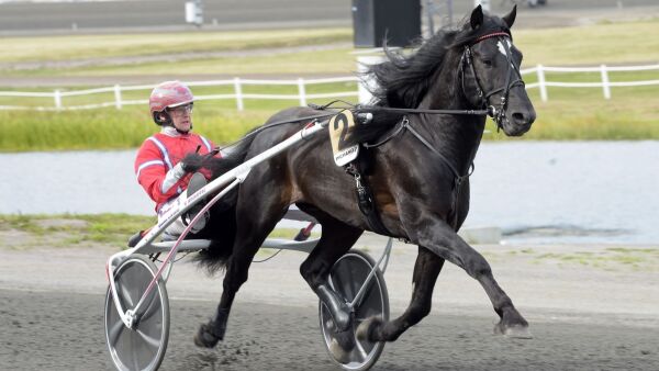 Disse velger bort Bjerke