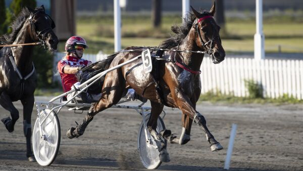 Topphoppe til Krogh-Hansen
