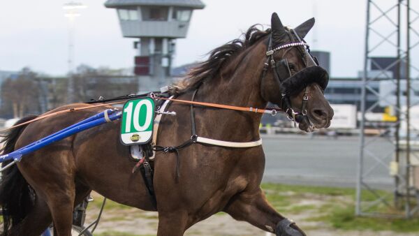 - En akilleshæl for henne
