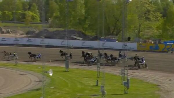Kusk skadd i styrt