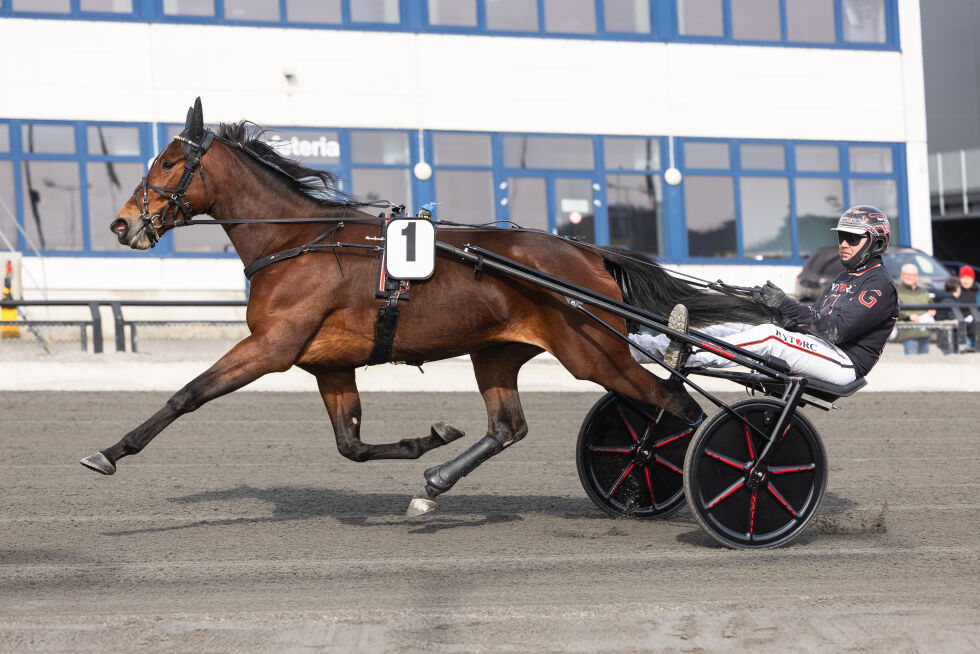Grande Finale imponerte mandag.
 Foto: Hesteguiden.com.