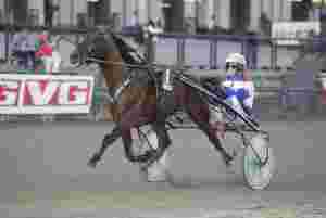 Vincennes-vinnerens bror selges