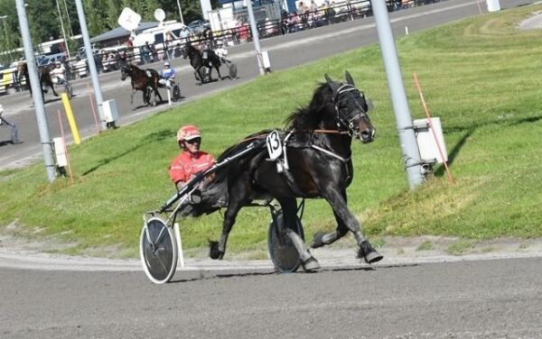 Alsaker Pumbaa i fartsfest