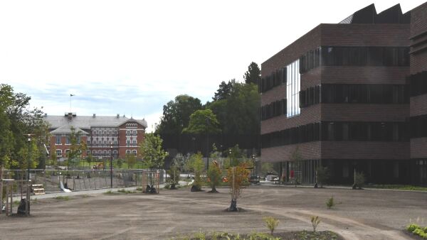 Krever omfattende kutt