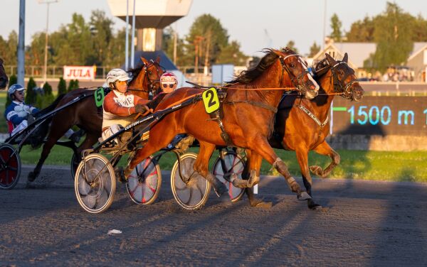 Lillebroren har blitt totning