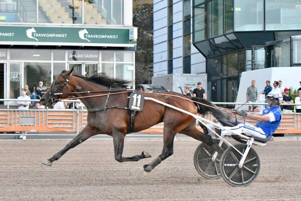 Solid avslutning av Hamrehoppe
