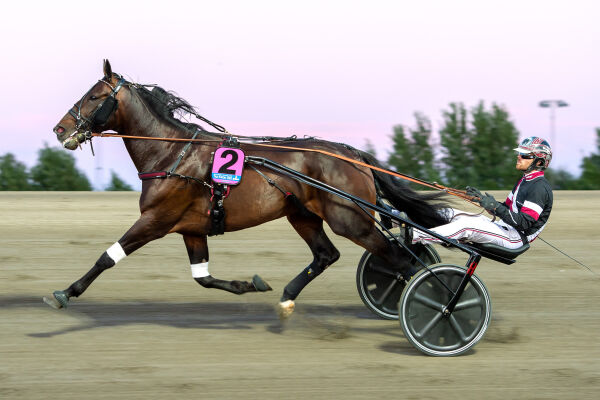 Vincennes-vinner død, stjerne i comeback og Åke i Elitloppet