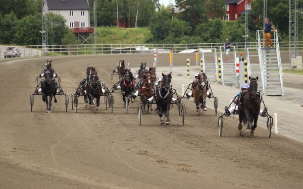 Veteranene tilbake i sulkyen