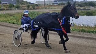 En av Nord-Norges beste er stygt skadd