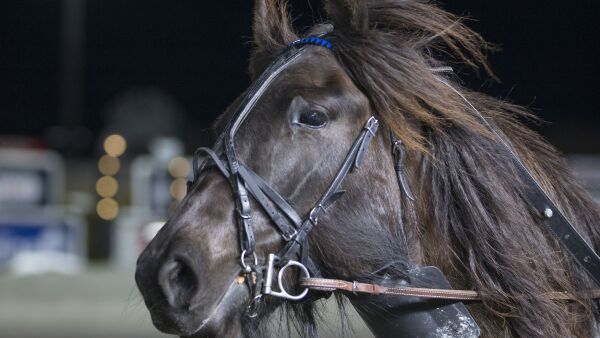 Ingen sure Mine(r)