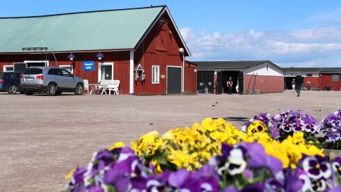 Åpner travbanen igjen