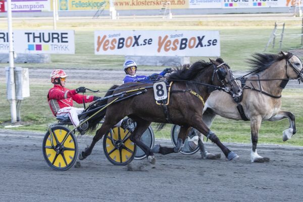 To strake for championen