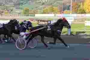 Stor interesse for Solvalla