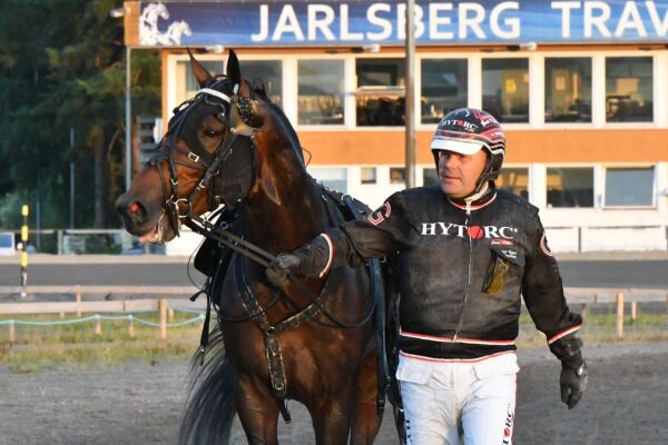 To nye hester klare
