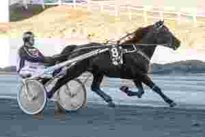Elitetraveren ute med ny skade