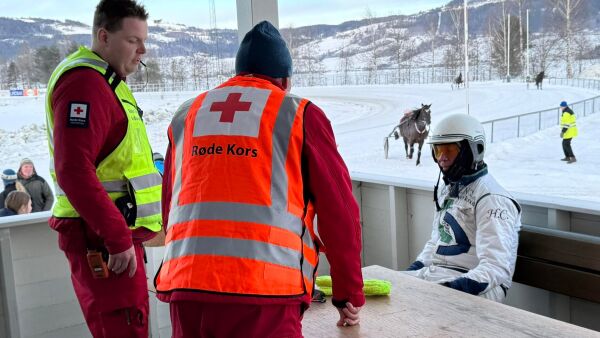 Holm truffet av spark