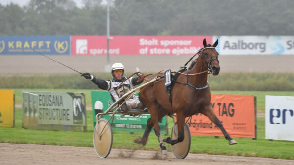 Topphoppe til avl, blåblodig treåring og 82-åring vant