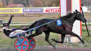 Får ikke kjøre, debut på 1.14 og Salte er klar