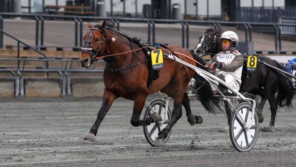 Tips til V75 Xpress i Orkdal