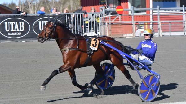 Flytter San Moteur