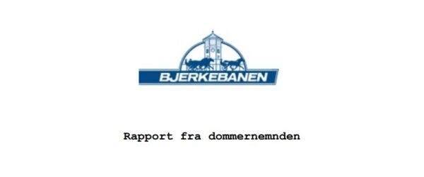 Onsdagens Bjerkebøter