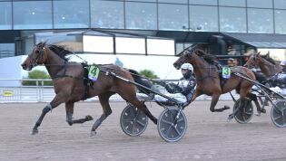Solvalla: Oppløftende King Okay