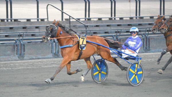 Vinnerhest med ny trener