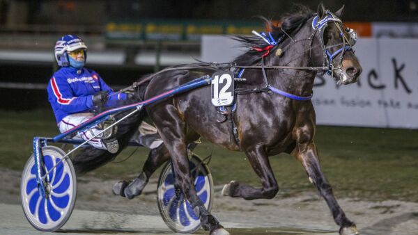 Derbyvinneren gjør comeback i ny regi