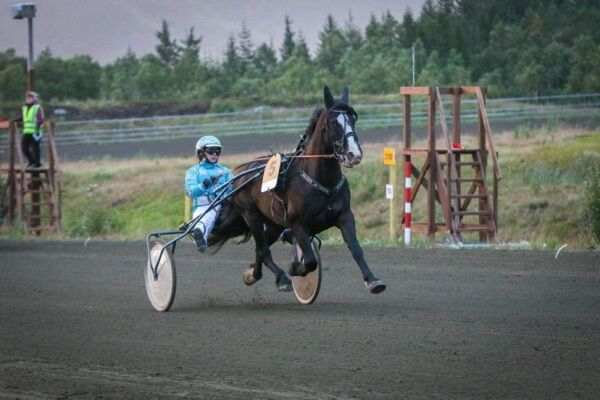 Lilly (25) har vokst opp med hest