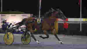 Stenger ute hopper