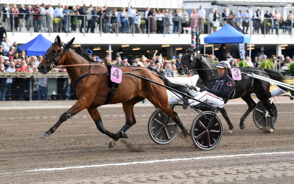 - Elitloppet er drømmen