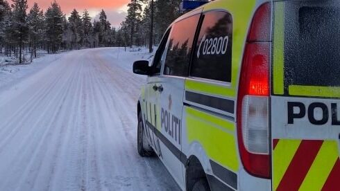 Løpsk hest i trafikken