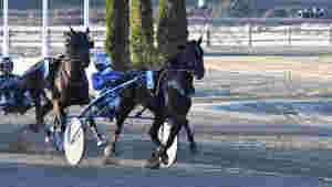 - God reklame for travet