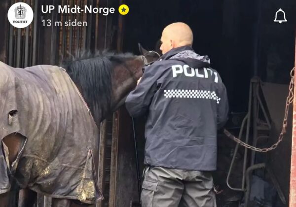 Løpsk hest, salg på is og avslørte kreft