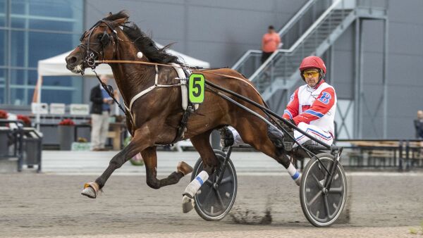 Golden Dream M.E. på siste steget