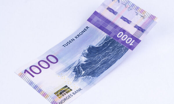 Dette kostet en 1000-lapp