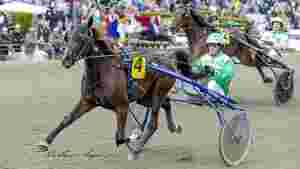 Topp flyttes fra Westergaard