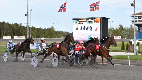 Har levert traves synspunkt
