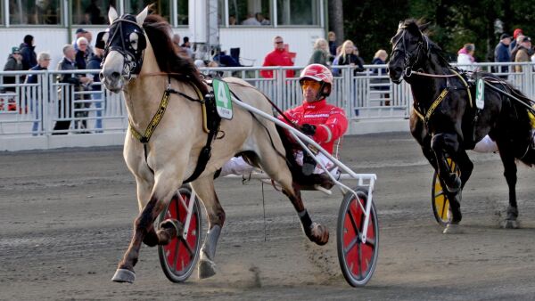 Utfordrer eliten