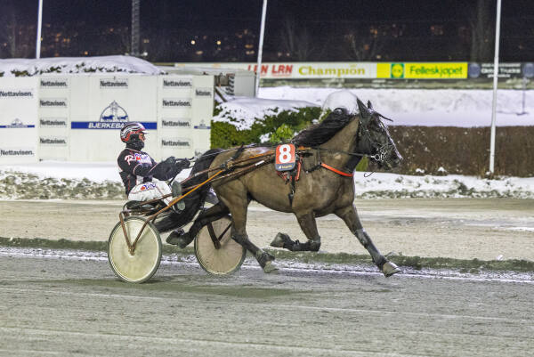 Andre strake tross galopp