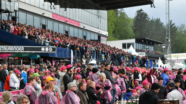 Alle gratis inn